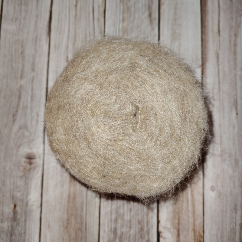 1000027012.jpg