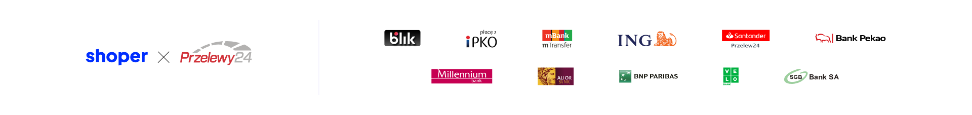 Płatność